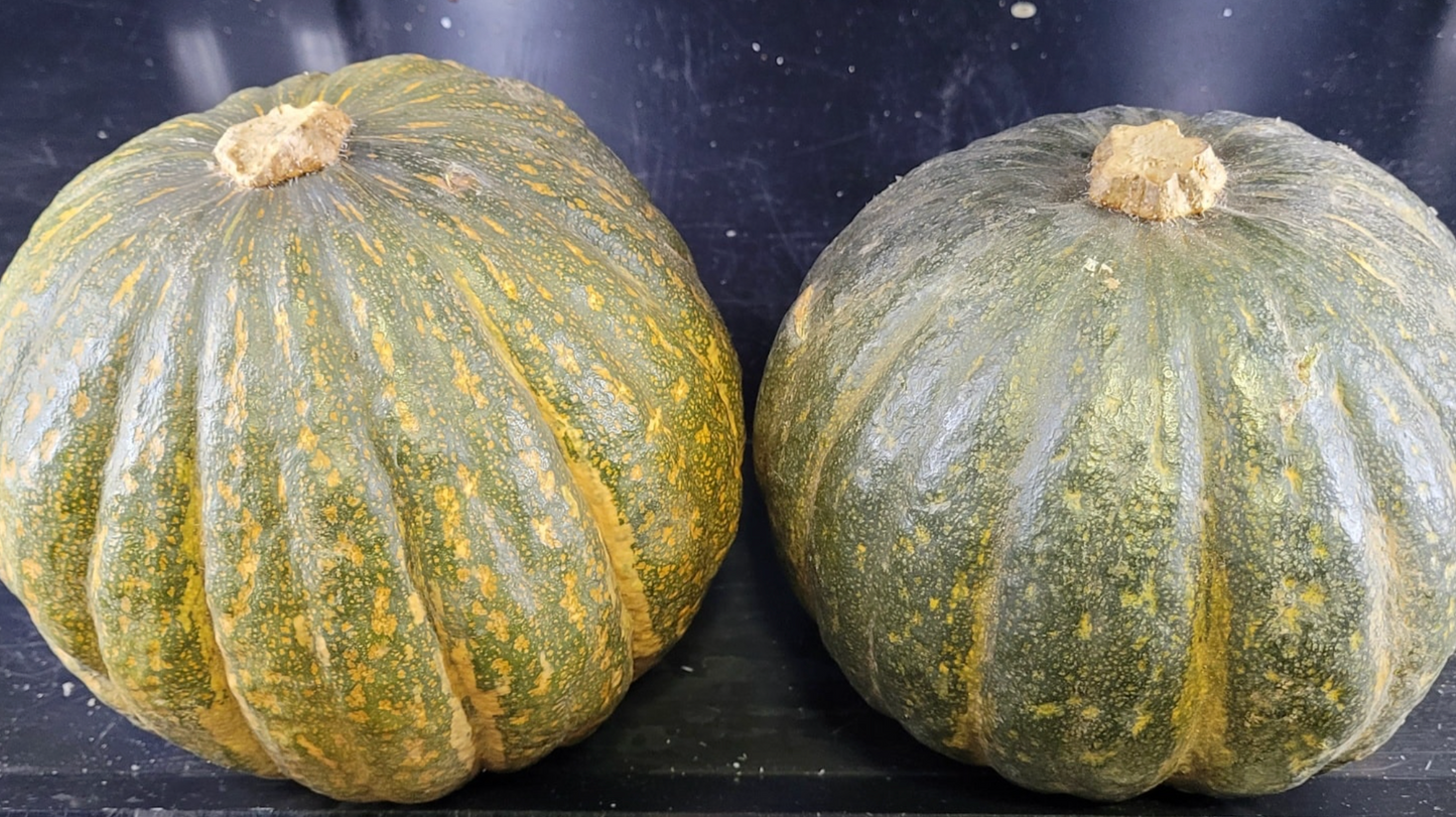 pumpkin £2.50/kg
