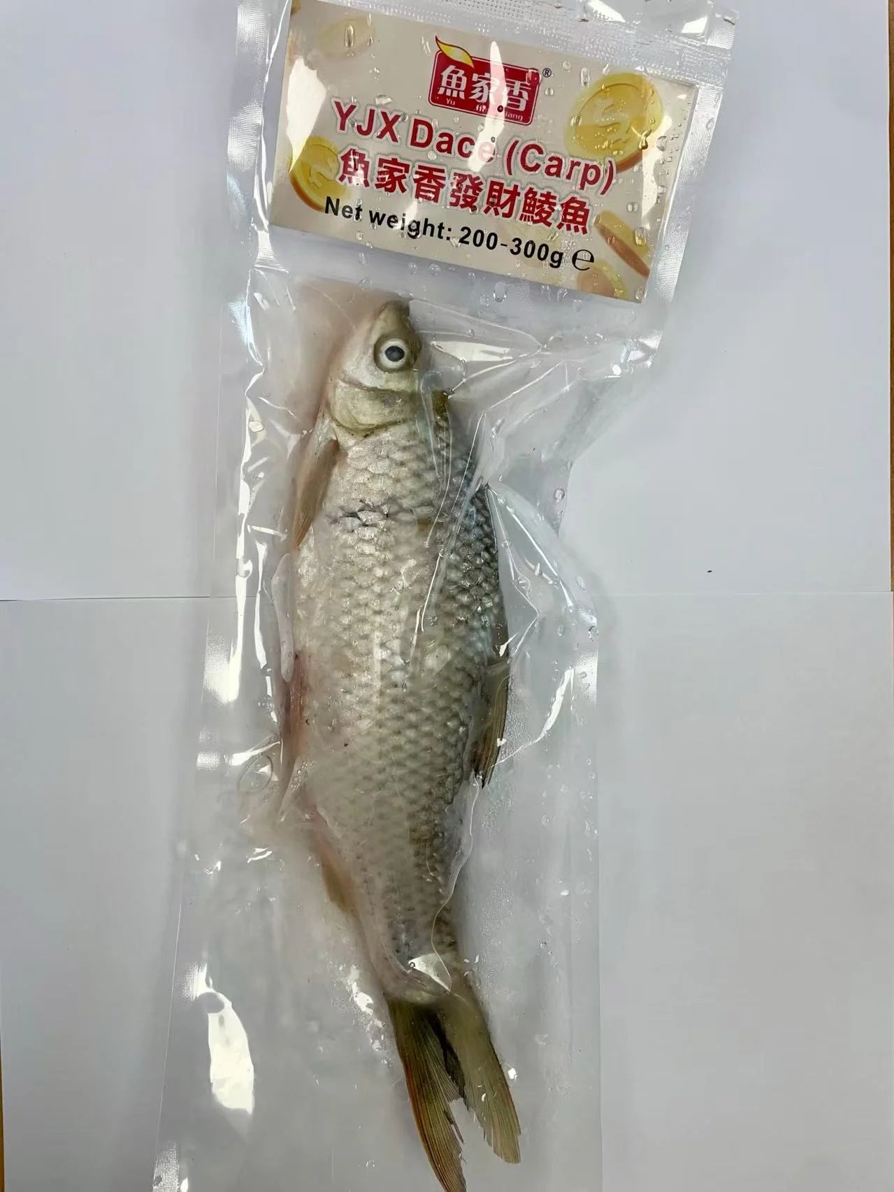 YJX dace carp 200/300g