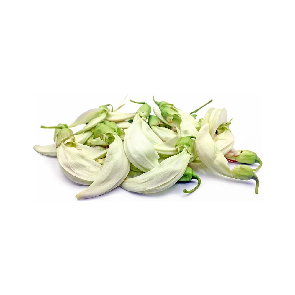 bluejay dok kae(katuday) 100g