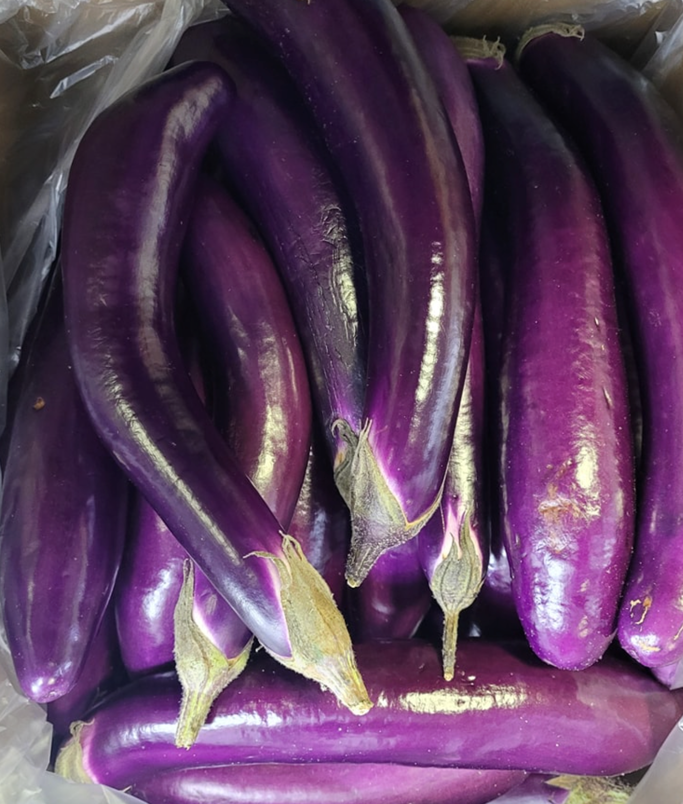 aubergine long 5.99/kg