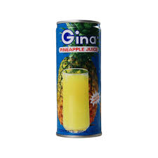 gina pineapple juice 250ml