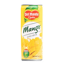 DM mango juice 240g