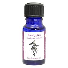 stamford eucalyptus essential oil 10ml