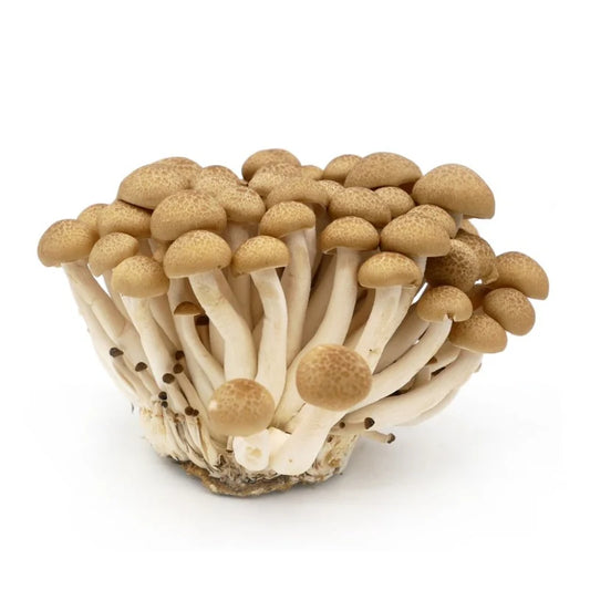 brown mushroom shimeji 150g