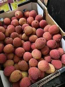 thai agronomy lychee 500g