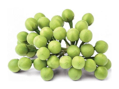 bluejay pea aubergine 100g