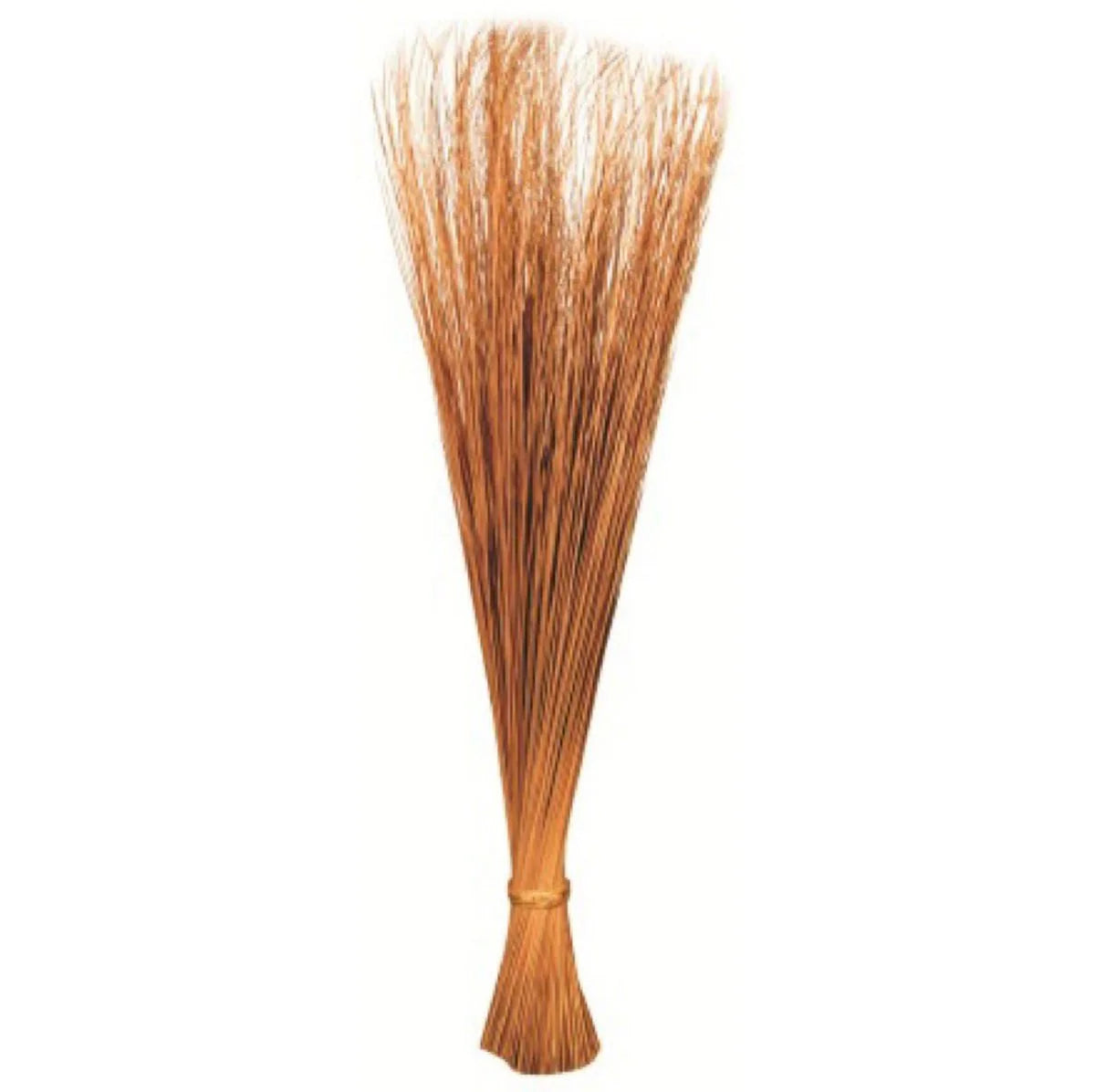 walis tingting [pointer broom]