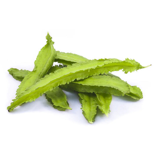 bluejay wing bean 100g (pallang)